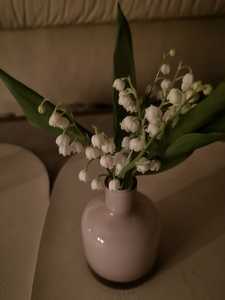 Img-20260517-wa0008