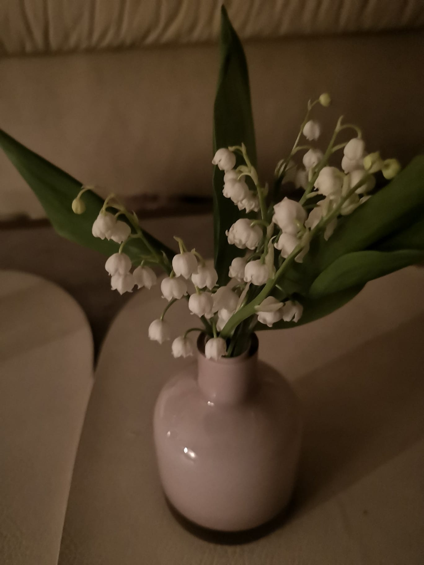 Img-20260517-wa0008